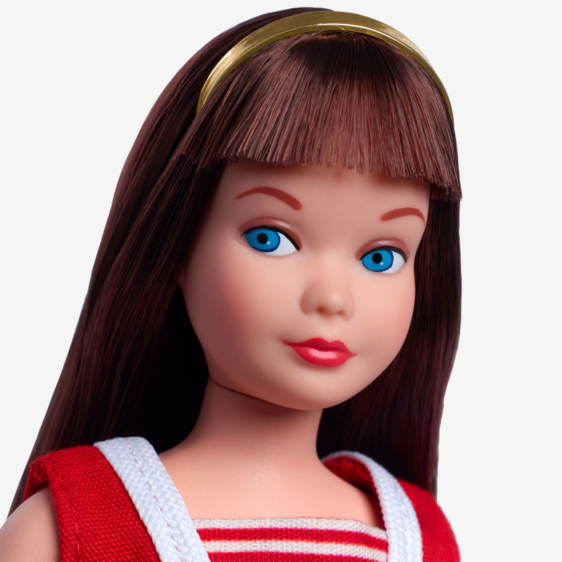 Barbie Signature Skipper 60 Aniversario HRM86 - imagen adicional
