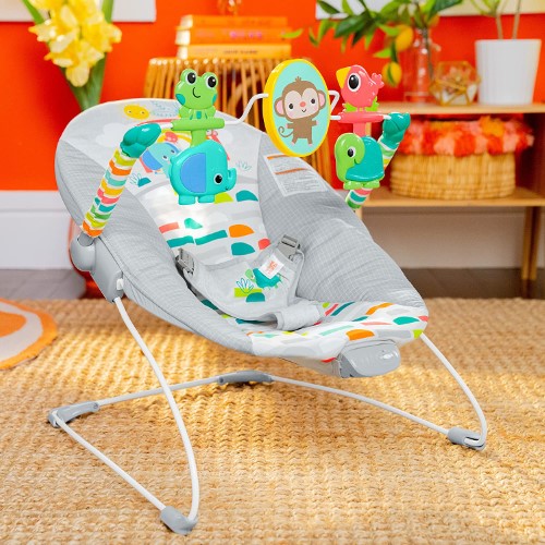 Bright Starts Silla Mecedora Vibradora 13070 - imagen adicional
