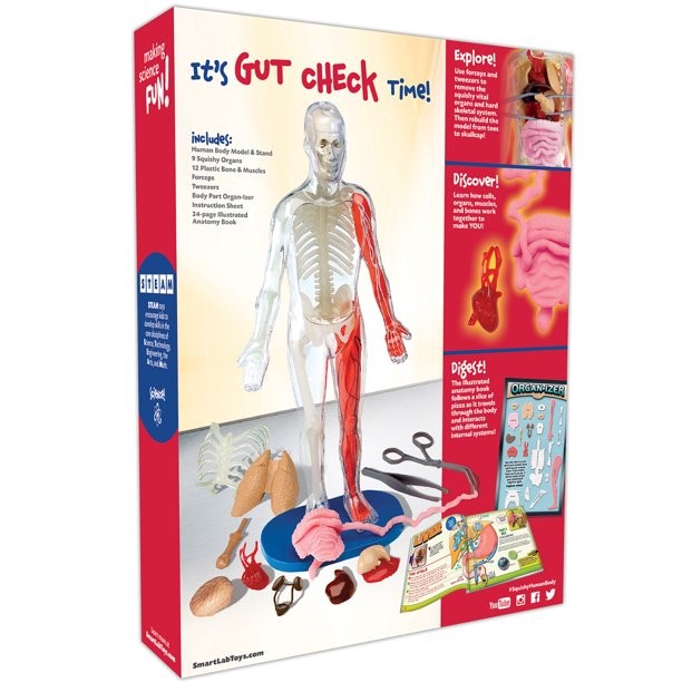 SmartLab Juguete didáctico Cuerpo Humano desmontable - imagen adicional