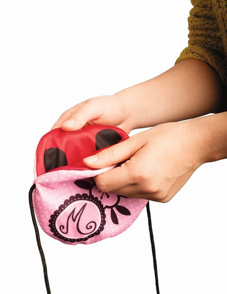 Prodigiosa Set Conviertete en Ladybug - imagen adicional
