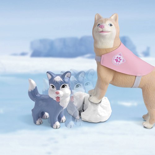 Nancy rescate en la nieve 700012727 - imagen adicional