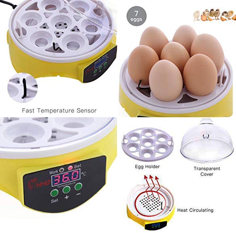 Incubadora inteligente 7 huevos - imagen adicional