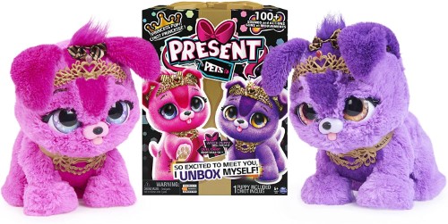 Present Pets mascota princesa - imagen adicional