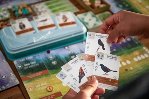 Wingspan juego de mesa - imagen adicional